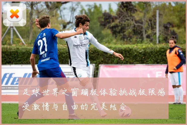 足球世界之窗蹦极体验挑战极限感受激情与自由的完美结合