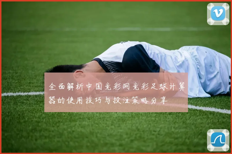 全面解析中国竞彩网竞彩足球计算器的使用技巧与投注策略分享