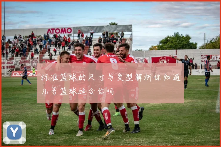 标准篮球的尺寸与类型解析你知道几号篮球适合你吗