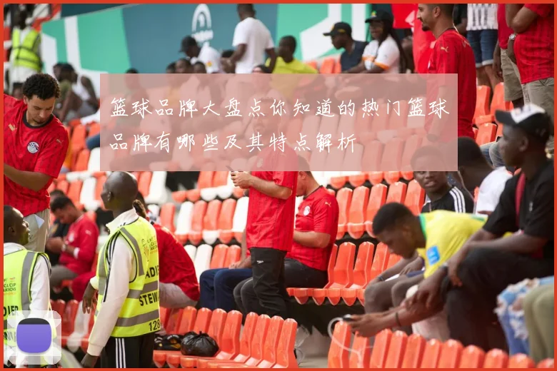 篮球品牌大盘点你知道的热门篮球品牌有哪些及其特点解析