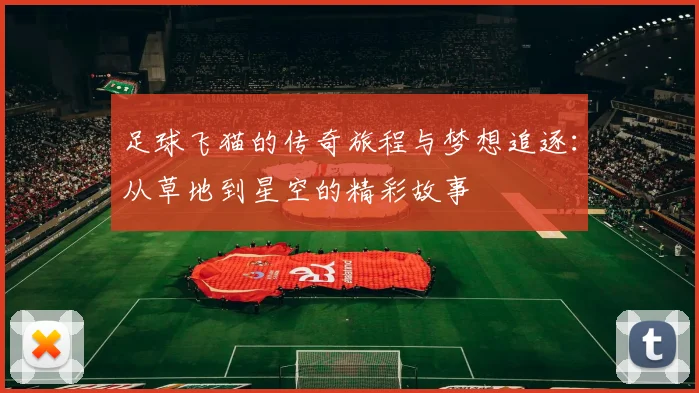 足球飞猫的传奇旅程与梦想追逐：从草地到星空的精彩故事