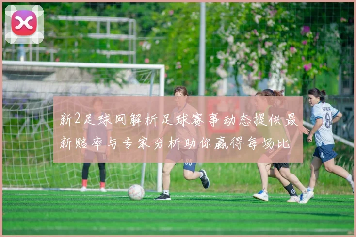 新2足球网解析足球赛事动态提供最新赔率与专家分析助你赢得每场比赛