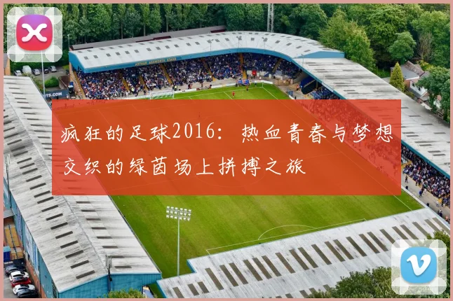 疯狂的足球2016：热血青春与梦想交织的绿茵场上拼搏之旅