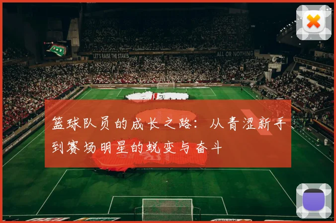 篮球队员的成长之路：从青涩新手到赛场明星的蜕变与奋斗