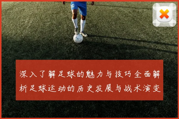 深入了解足球的魅力与技巧全面解析足球运动的历史发展与战术演变